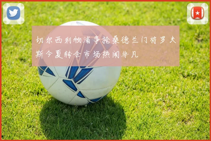 切尔西利物浦争抢桑德兰门将罗夫斯今夏转会市场热闹非凡