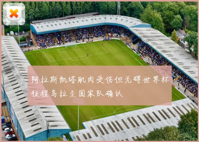 阿拉斯凯塔肌肉受伤但无碍世界杯征程乌拉圭国家队确认