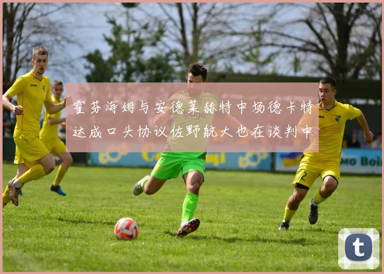 霍芬海姆与安德莱赫特中场德卡特达成口头协议佐野航大也在谈判中