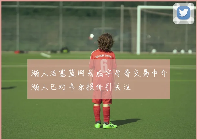 湖人活塞篮网或成字母哥交易中介湖人已对韦尔报价引关注